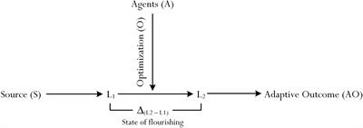 Introducing the Concept of Consonance-Disconsonance of Best Practice: A Focus on the Development of ‘Student Profiling’